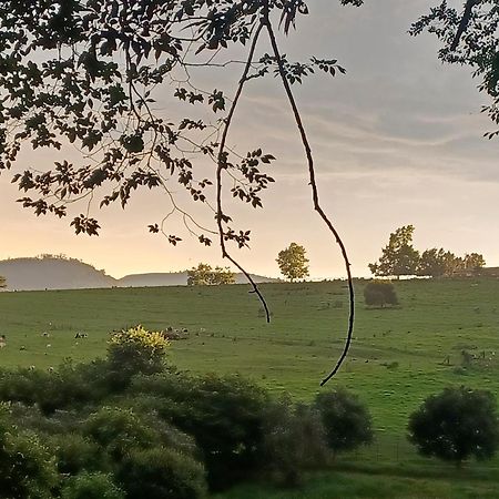 Little Fields Country House And Cottages Howick Eksteriør billede