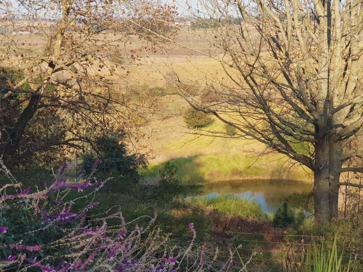 Little Fields Country House And Cottages Howick Eksteriør billede