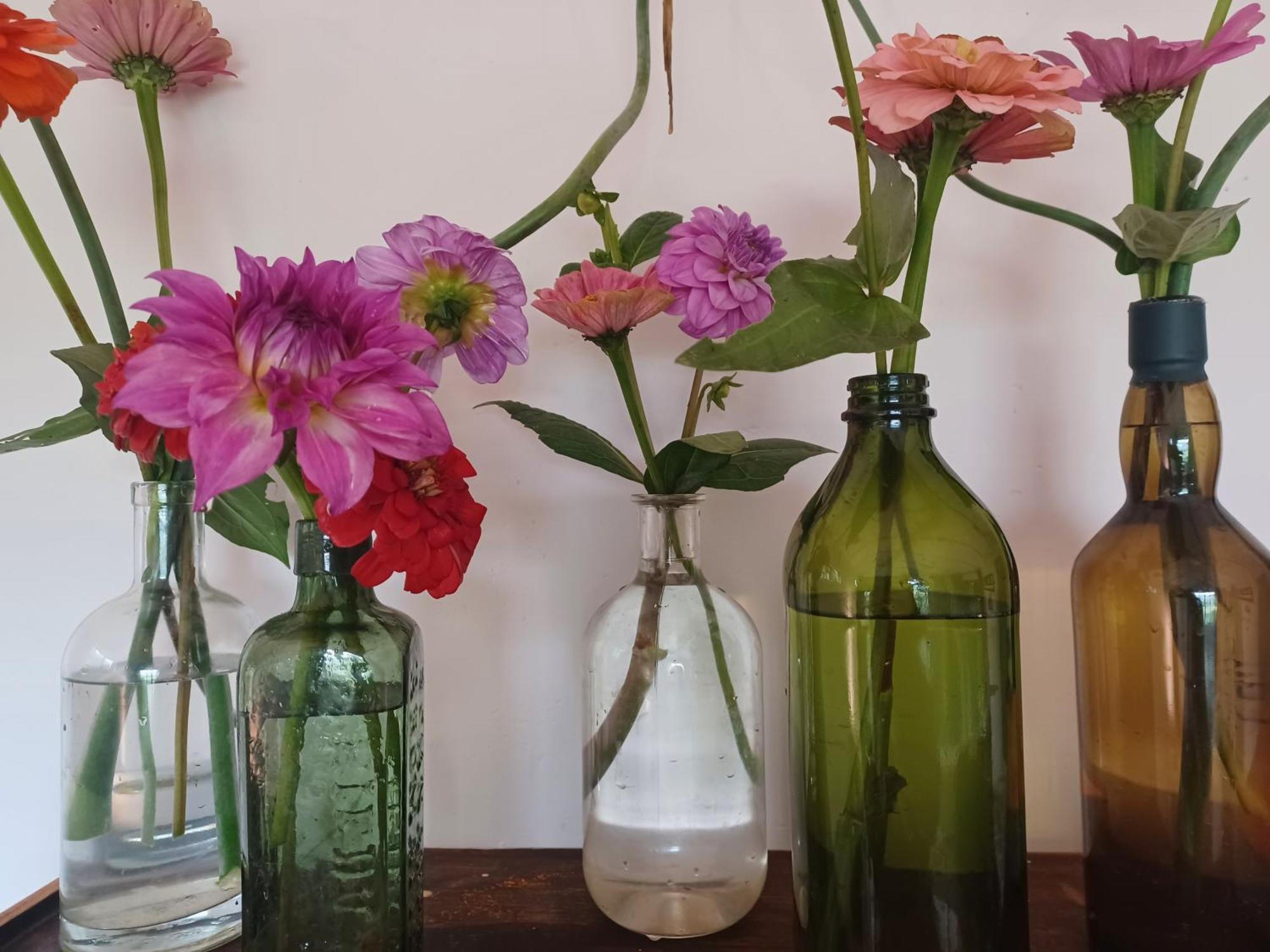 Little Fields Country House And Cottages Howick Eksteriør billede