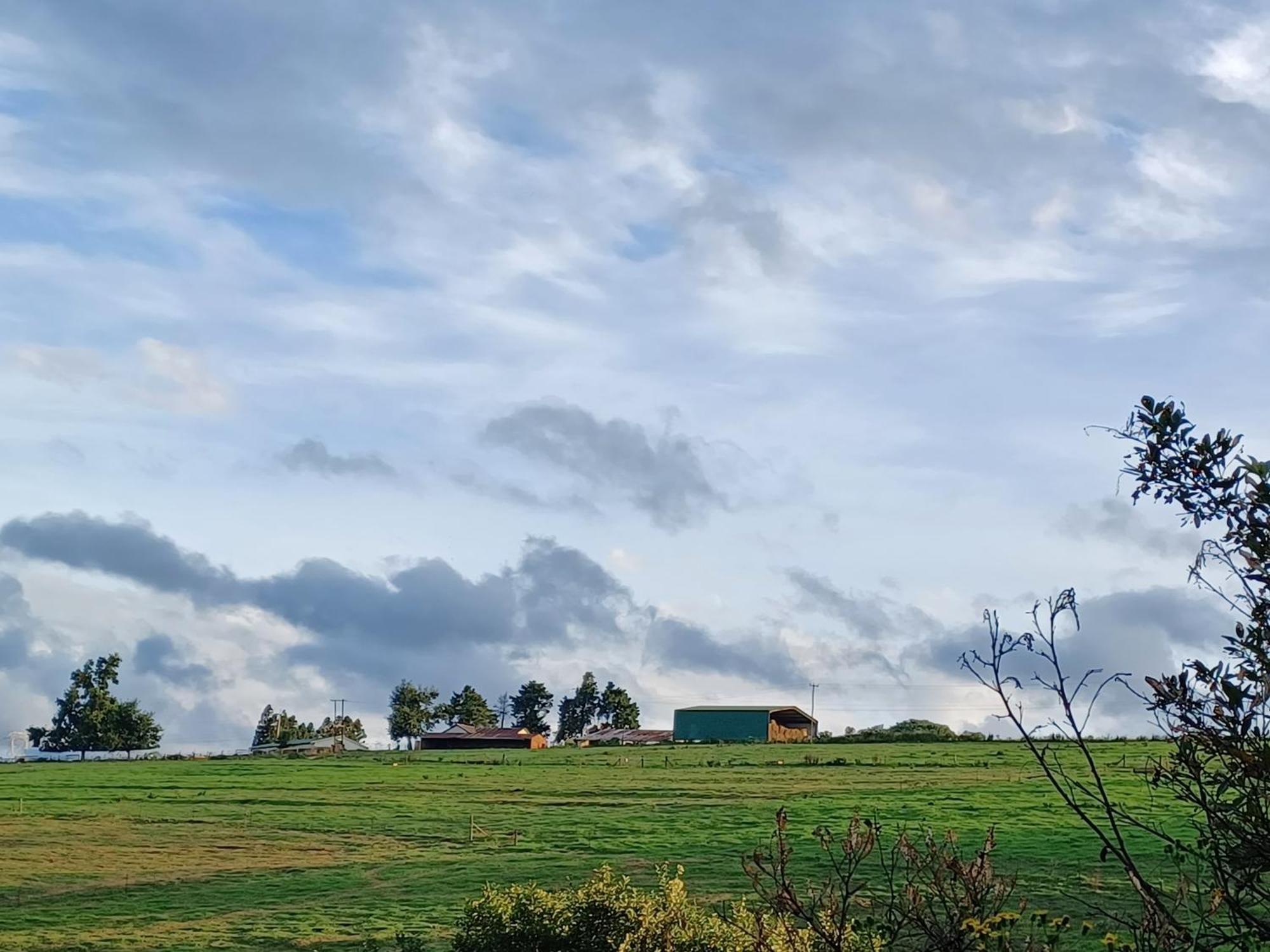 Little Fields Country House And Cottages Howick Eksteriør billede